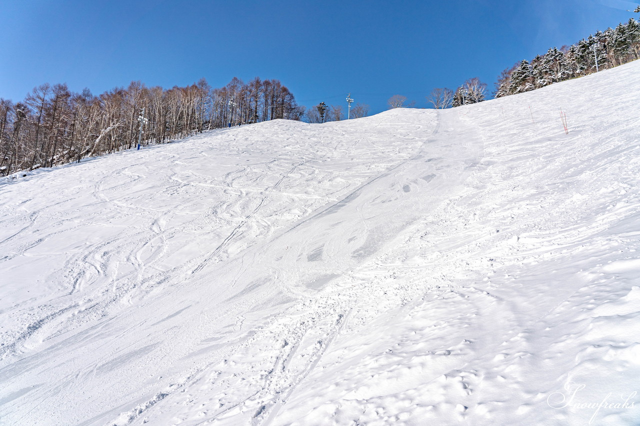 札幌藻岩山スキー場　積雪 105cm。スキーヤーだけが楽しめる！名物の急斜面『うさぎ平』＆『からまつ』両上級者コースもコンディション良好です(^^)/